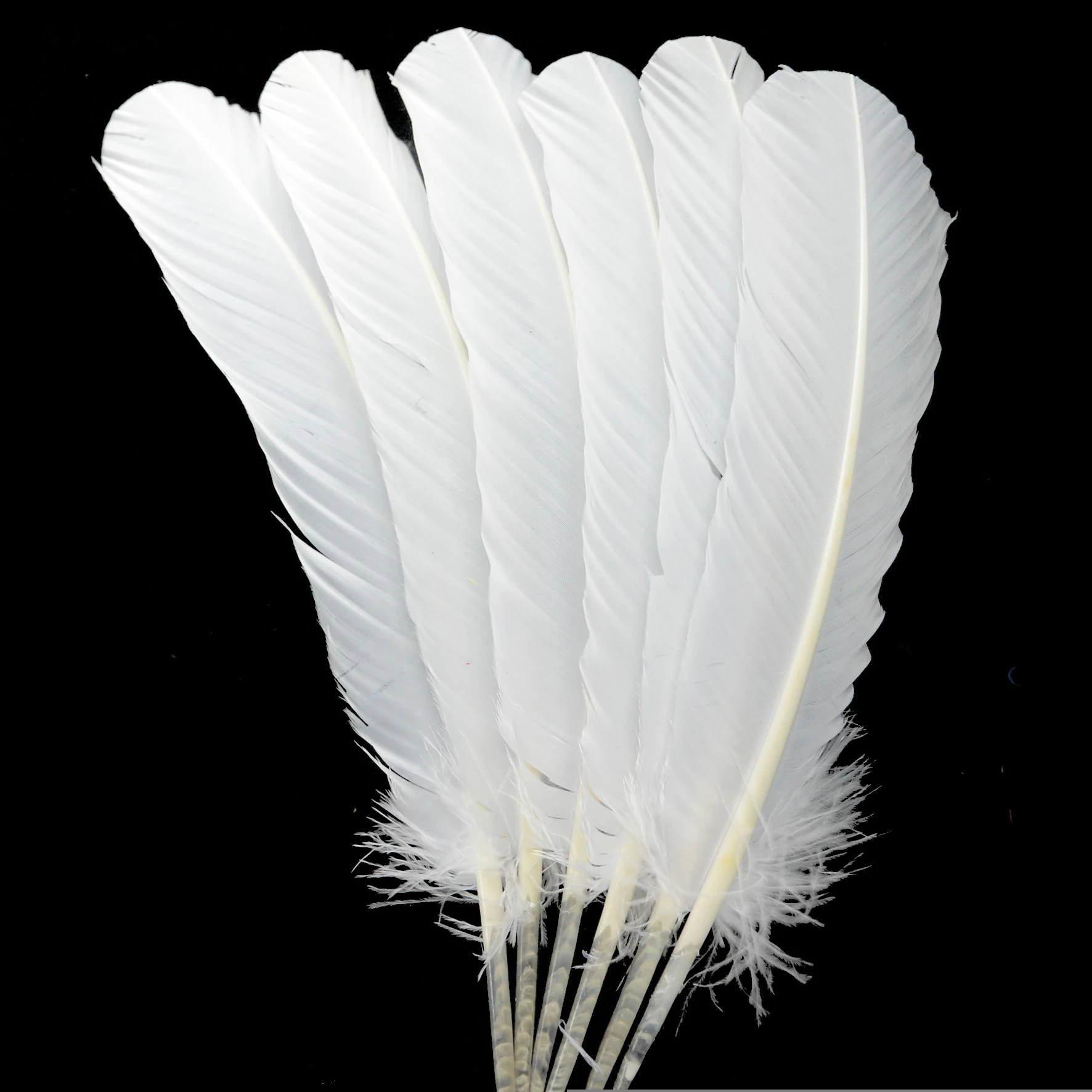 Wholesale High Quality HP-16 dyedturkey white plumage eagle natural turkey feathers for sale