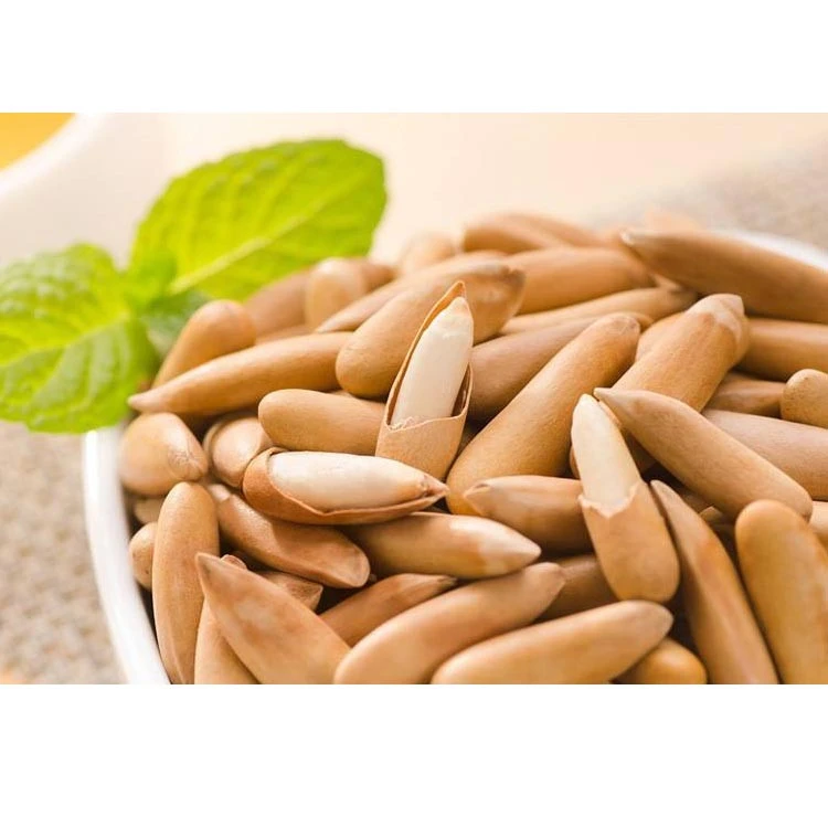 Wholesale Low Price Chinese Origin Healthy Pine Nuts