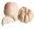 Import Wholesale Price for Natural High Quality Pure White Garlic from Pakistan
