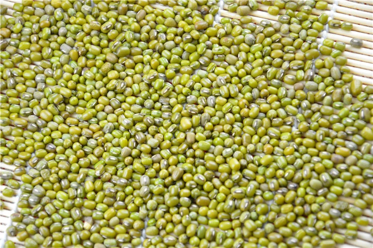 Wholesale Small Green Gram Split Bean Mung Beans