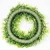 Import Wholesaleholiday and party decor craft, preserved boxwood wreath from China