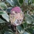 Import Wholesales high quality Custom bts idol hard enamel pins with brown/rose gold plating from China