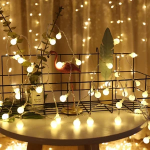 ZHUOOU USB Decorative Light String Lights Indoor Led Light String for Wedding Party.