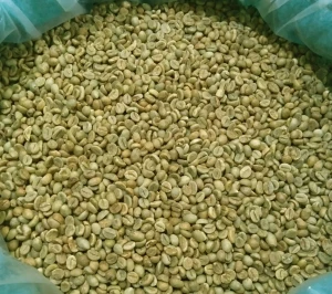 High Export Standard Arabica Coffee Beans – Premium Kenya Origin