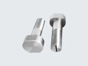 Molybdenum Screw Longhua