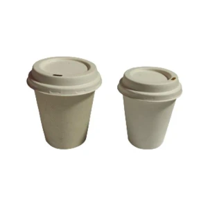 biodegradeble bagasse beverage cup