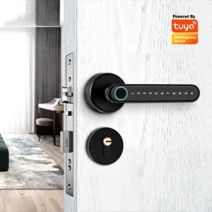 Fingerprint Smart Handle Door Lock YS-021