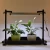 Grow Light Universal Stand Hydroponic LED Light Mini Greenhouse Seed Tray