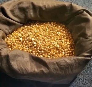 Pure Raw Gold, Gold Bars