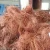 Import copper wire from United Arab Emirates