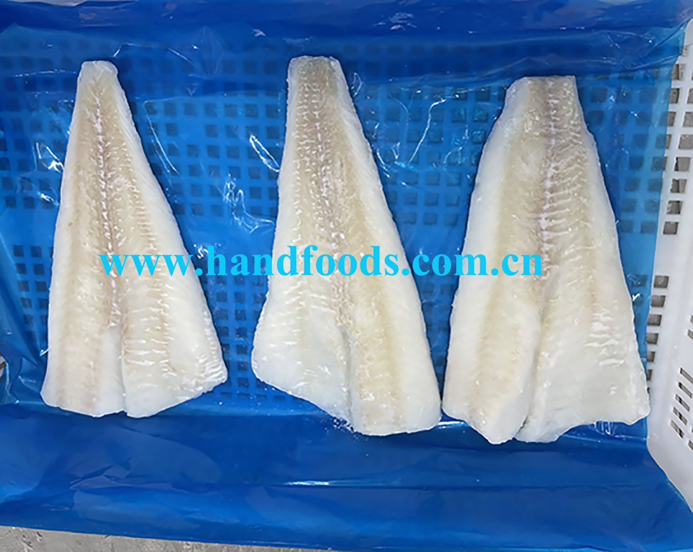 Buy Frozen Pacific Cod Fillets from Hand Foods (Dalian) Co., Ltd ...