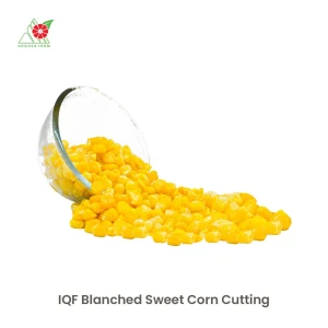 IQF Blanched Sweet Corn Cutting