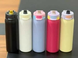 24OZ Colored Water Bottle Fashion Double Wall Vacuum Water Bottles