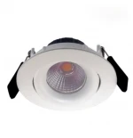 Ceiling Light Spot Down Light Recessed Light COB LED Downlights