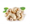 Bulk best Quality Cashew Nut Raw Bulk Cashews W320 Raw Cashew Nuts Prices Offered Dried Fruits Nuts