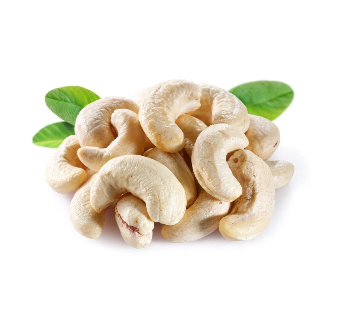 Buy Bulk Best Quality Cashew Nut Raw Bulk Cashews W320 Raw Cashew Nuts