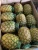 Import Pineapples from Kenya from Kenya