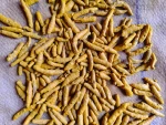 Organic turmeric with High curcumin 4% and above