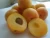Import Apricot Puree Concentrate 30-32% from China