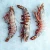 Import Frozen Black tiger Shrimps Frozen Shrimps Good Quality Seafood Private Label for Wholesale from United Kingdom