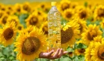 Sunflower oil