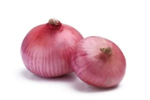 Quality Fresh Red and Yellow Onions