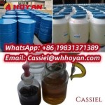 Good Purity BMK OIL CAS 20320-59-6