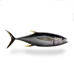Chilled Yellowfin Tuna GG