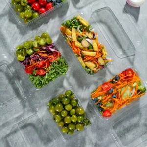Custom clear Hinged Plastic Clamshell Fast Food Packaging Container