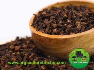 product offerings from PT Agriculture Brico (Clove)