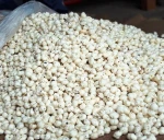 Makhana (Foxnut)
