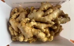 Fresh Ginger from VietNam