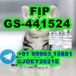 GS-441524 cat Fip Feline Infectious Peritonitis