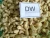 Import Vietnamese Cashew Kernels DW from Vietnam