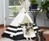 Pet Teepee Tent