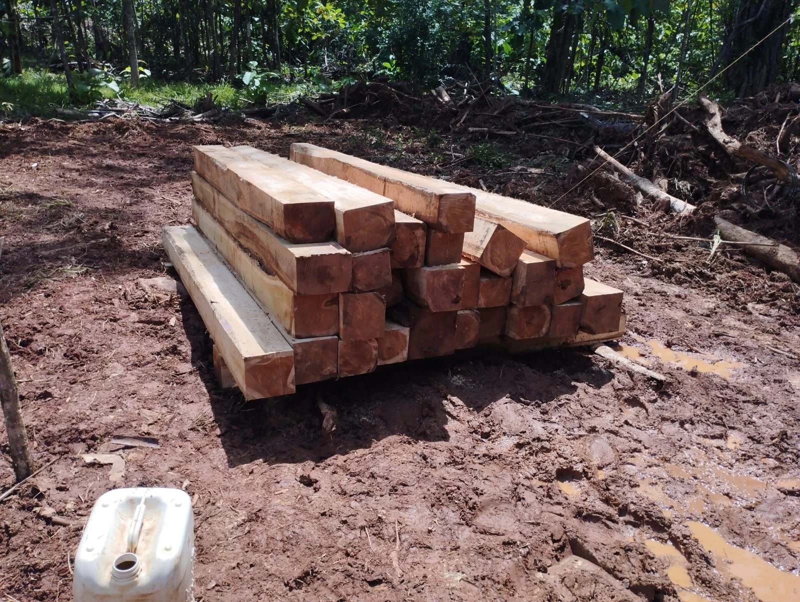 Buy Teak Wood Blocks from Company Henri Laprade, Costa Rica