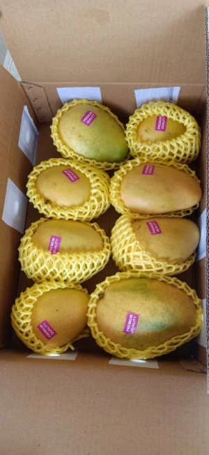 Banginapalli mango