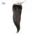 Import Top Quality Virgin Hair Lace Closure Silk Straight from China