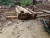 Import Teak Wood blocks from Costa Rica