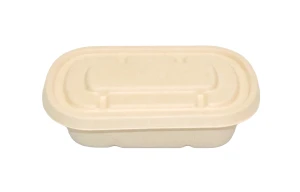 1000ml/34oz disposable bagasse lunchbox take-out container