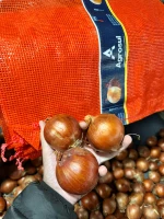 Premium Onions