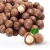 Import 100% Best Selected Roasted Macadamia Nuts From Daklak In Vietnam from China