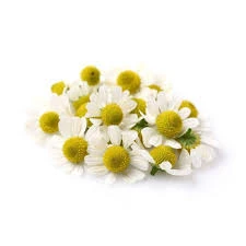 100% Pure Natural Chamomile Roman Hydrosol (Floral Water)