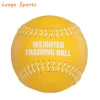 12 inch training weighted softball for pitching