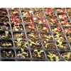 128 cell plant nursery plastic pvc greenhouse seedling tray