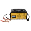 12V Automatic Battery Charger