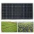 Import 200 cells PS Plastic Seedling Tray plant seed tray supplier support Germination Tray custom for Greenhouse Vegetables Nursery from China