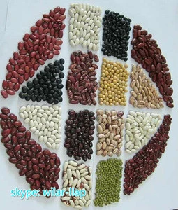 2014 crop Red/White/Black/Light Speckled Kidney Beans.
