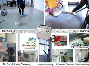 2016 Portable smart steam cleaner