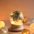 Import 2019 Popular christmas decoration gift led 7 color night light music boxes from China
